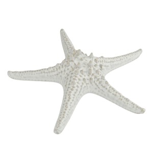 Блюдо &quot;Звезда&quot; 24 см, керамика &quot;Frutti di Mare&quot; P.L.