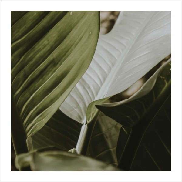 Картина Figurative-2 400*400